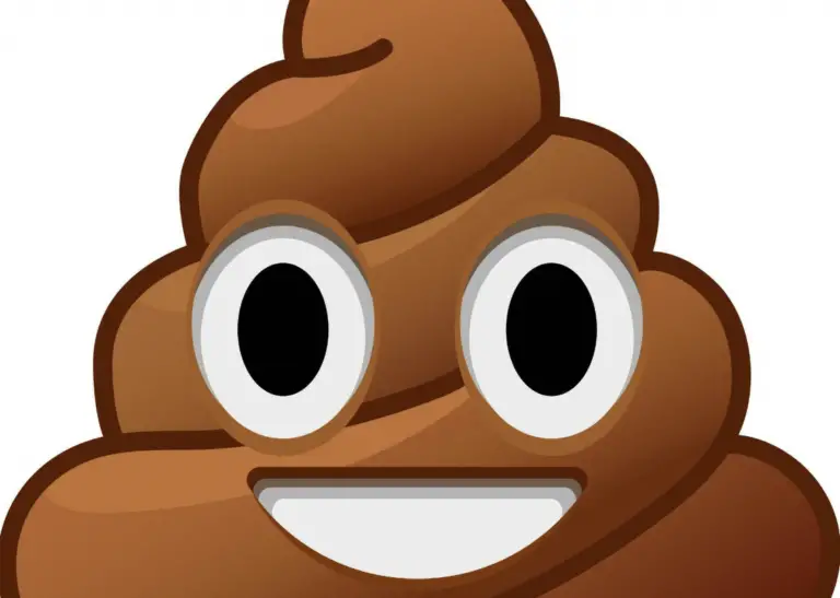 Un animateur de la RTBF suspendu après s'être déguisé en... émoji caca ...