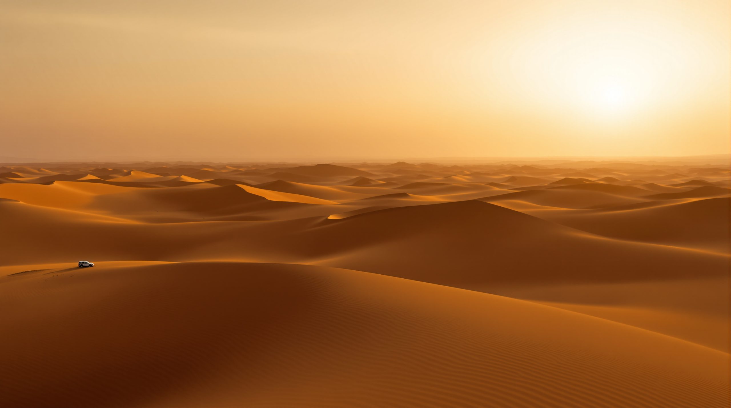 Desert Crypto Mystery