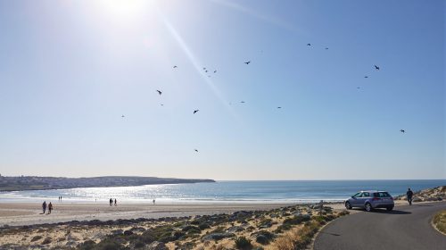 Plage Incident Larmor