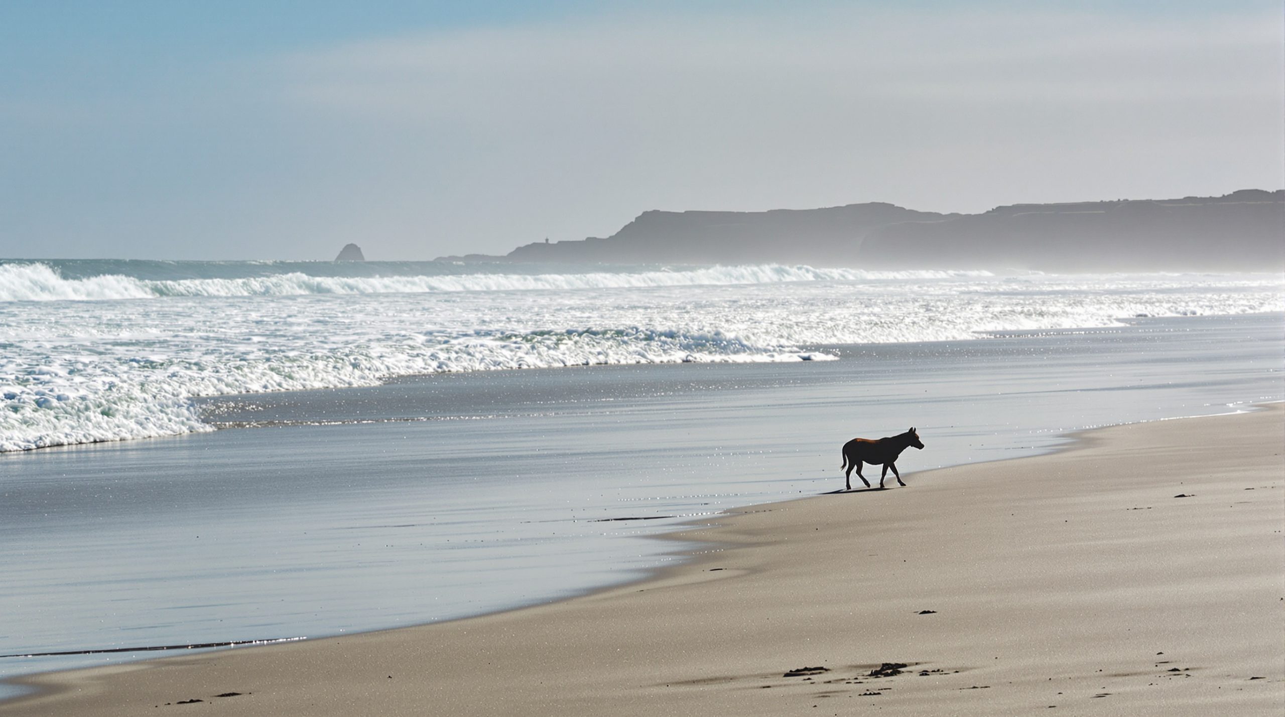 Plage_Californie_Silhouette