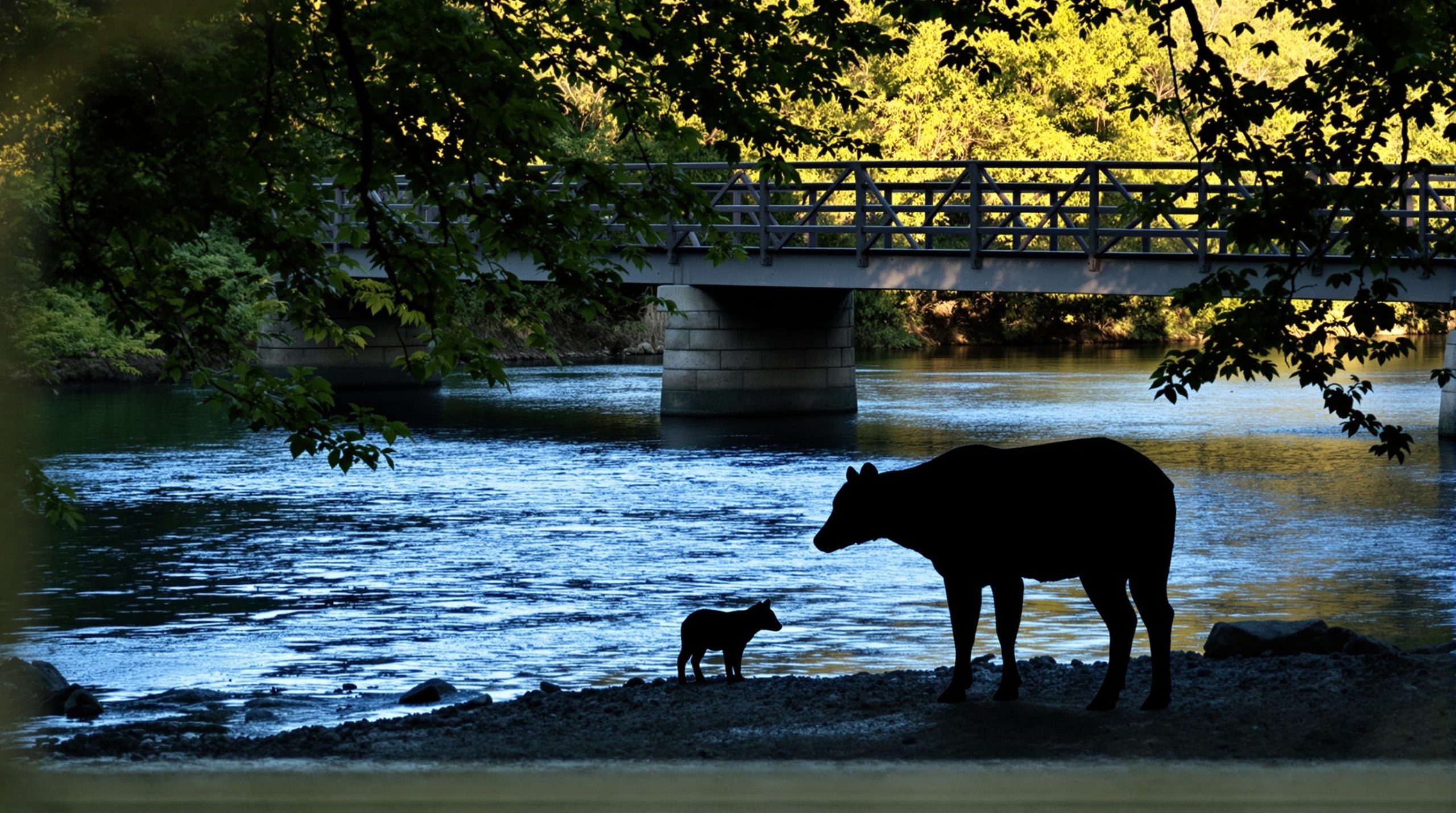 pont_essonne_parc