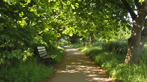 chemin_campagne_calme
