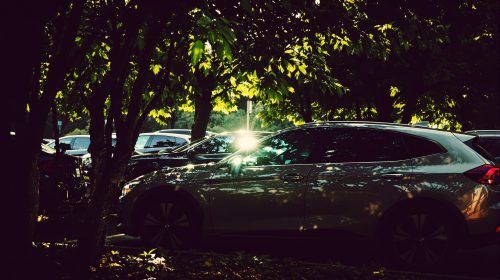 fourriere_hollywood_automobiles