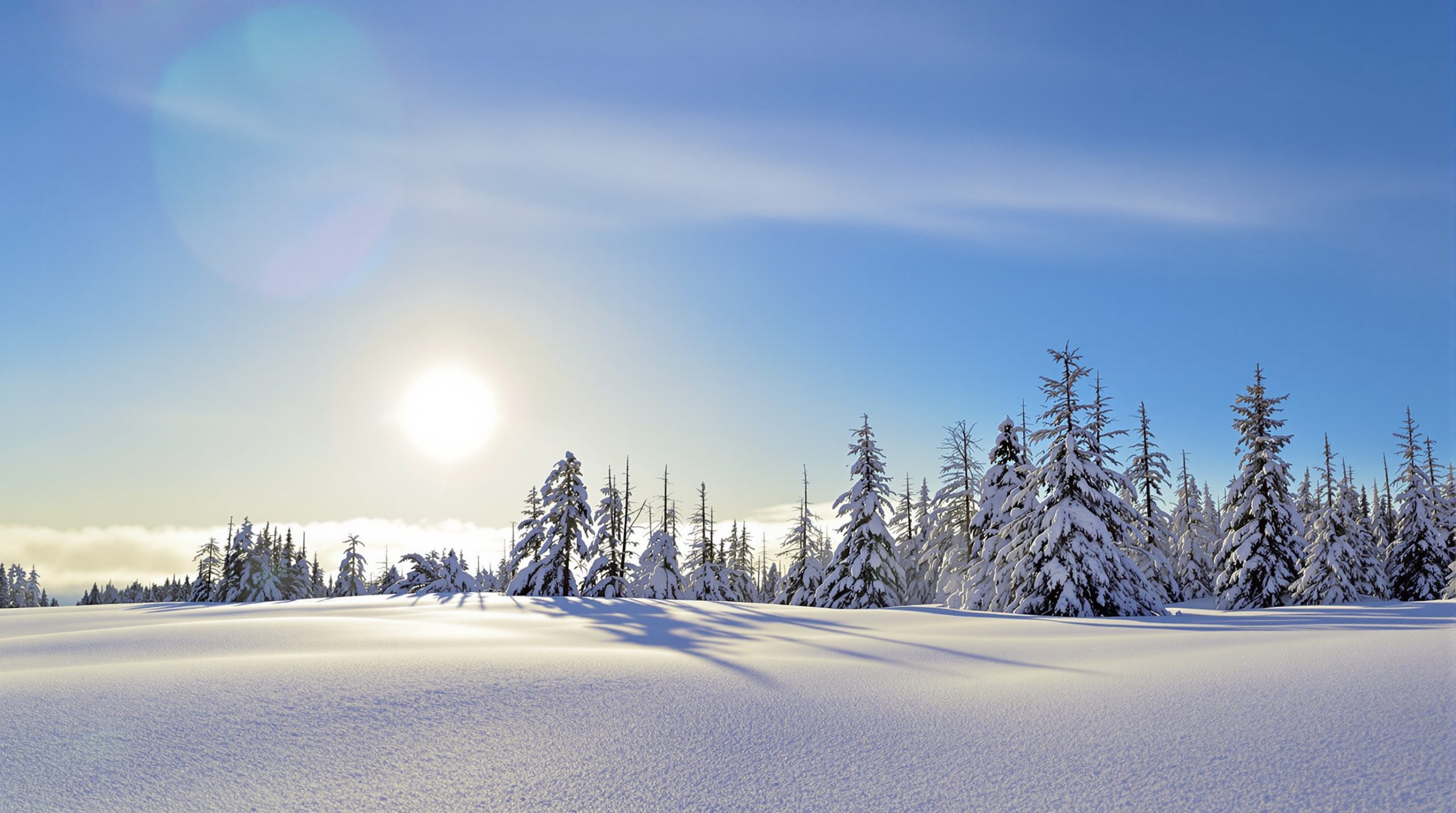 frontière_hivernale_buffalo_image