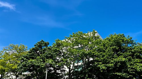 hopital_glanrhyd_vue_exterieure