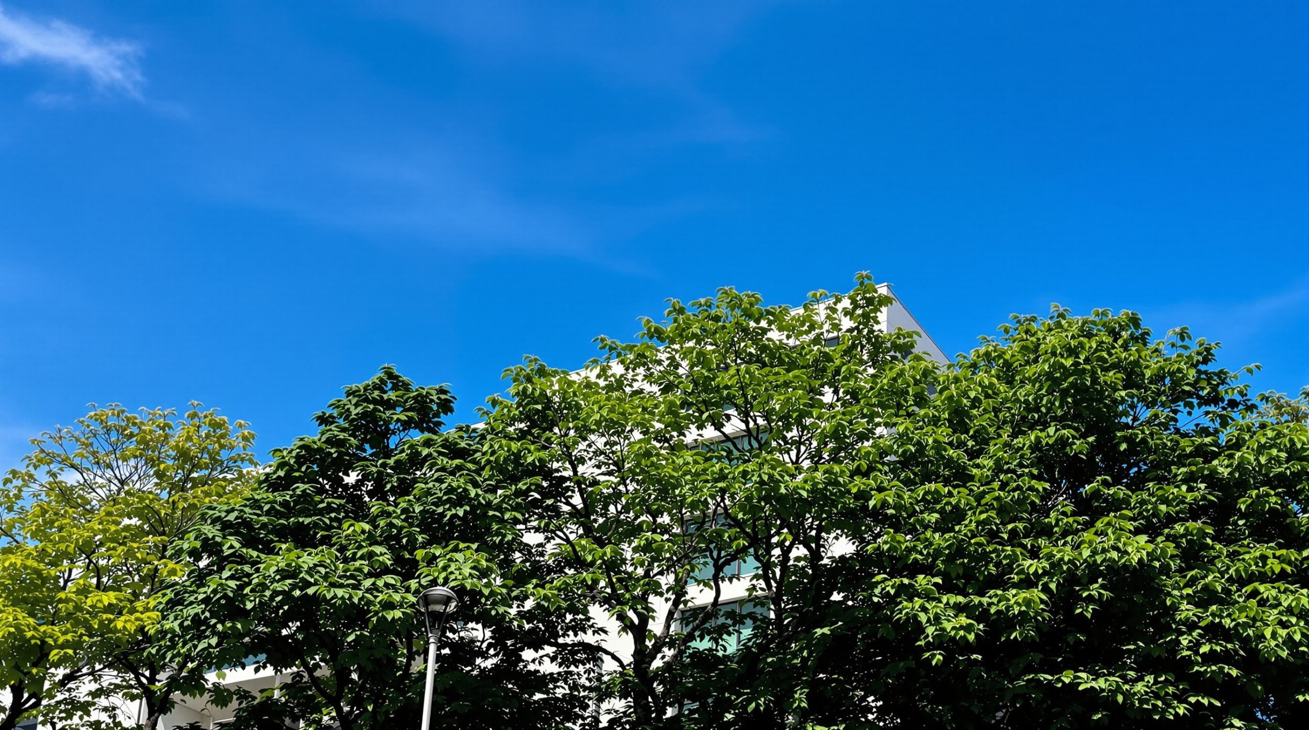 hopital_glanrhyd_vue_exterieure