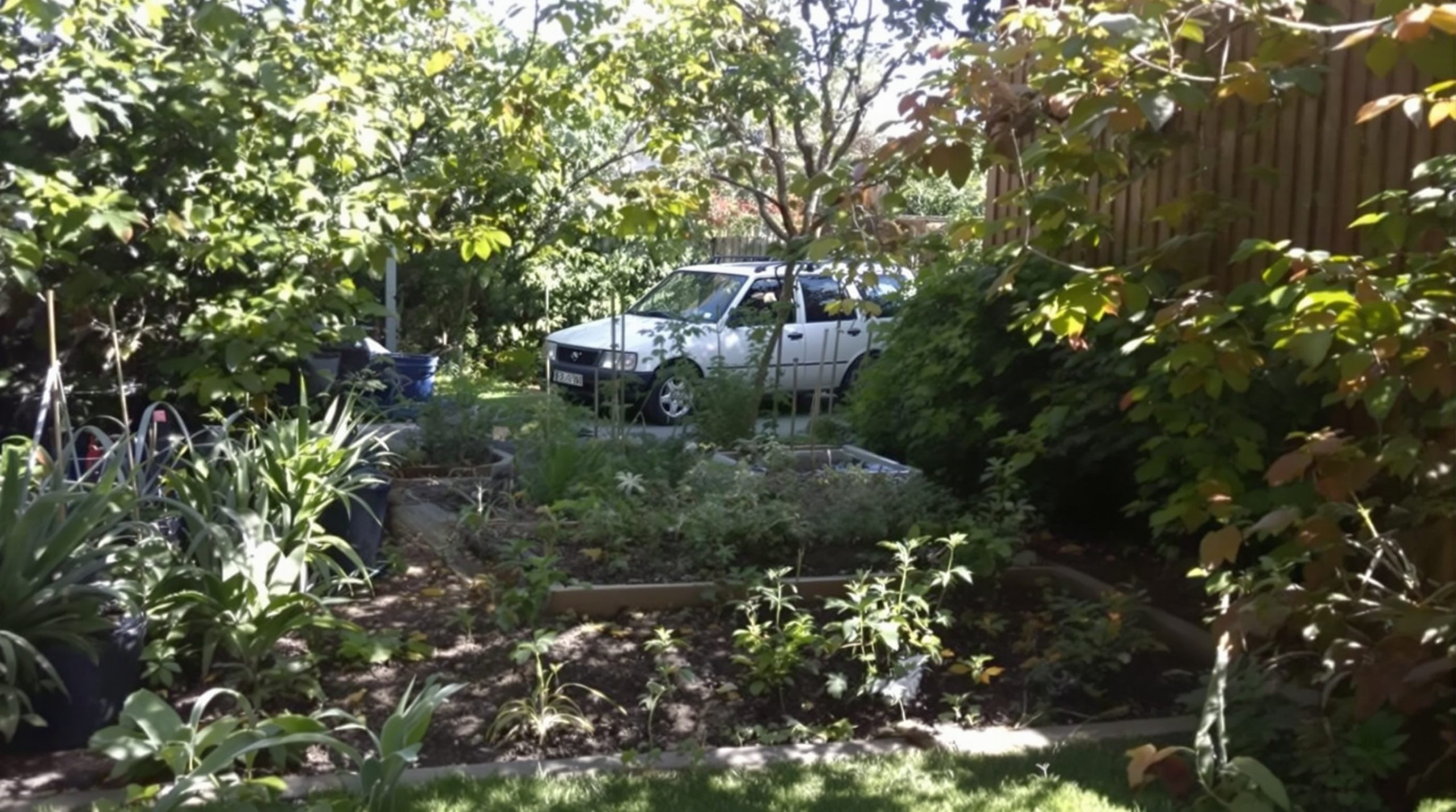 jardin_potager_vehicule