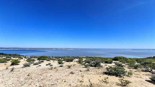 nature_paisible_gironde