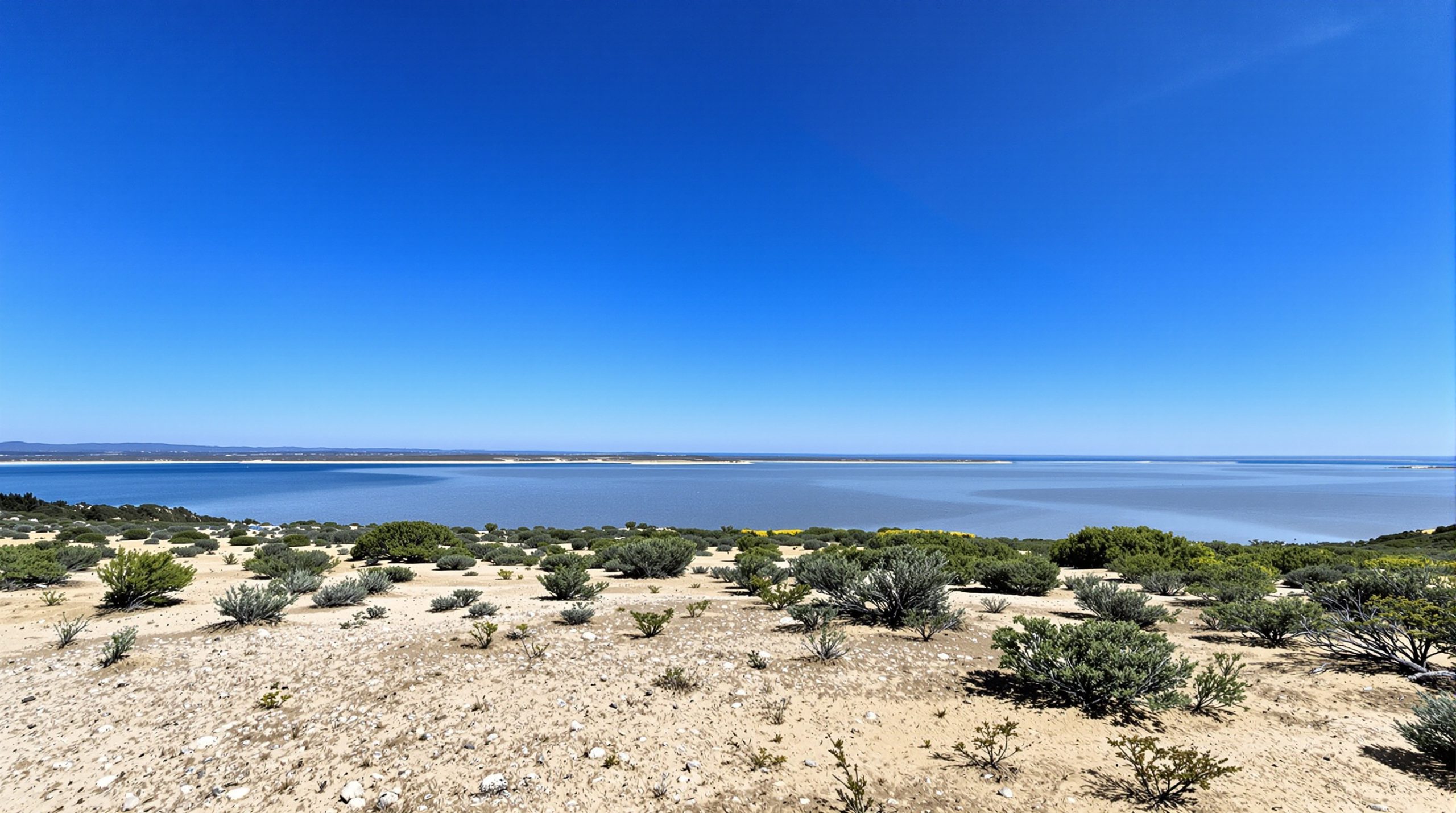 nature_paisible_gironde