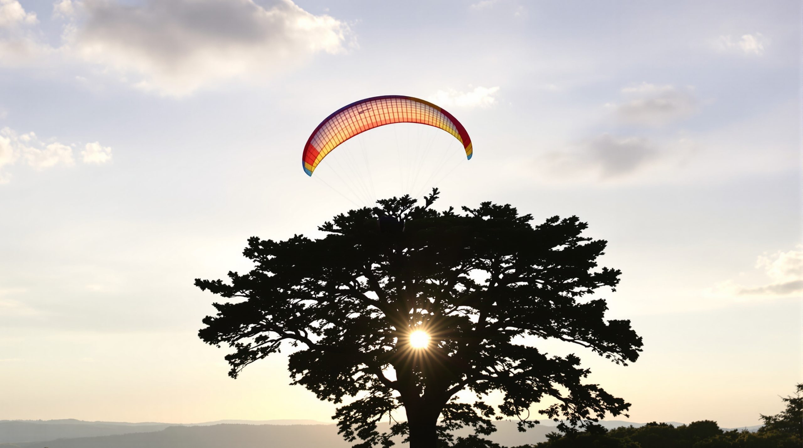 parapente_arbre_ardennais