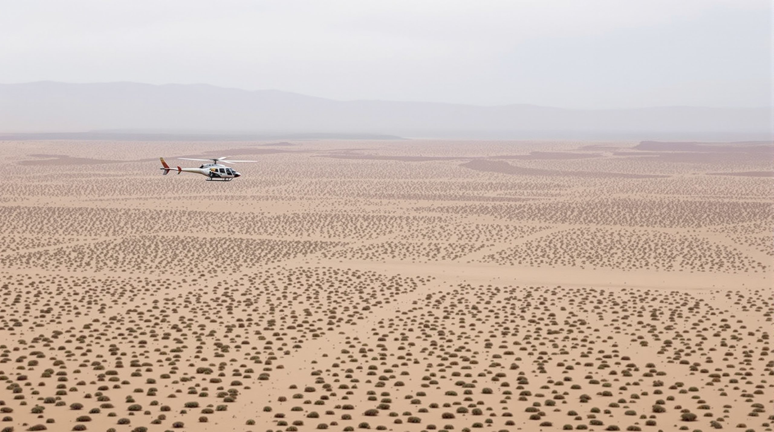 sauvetage_desert_arizona