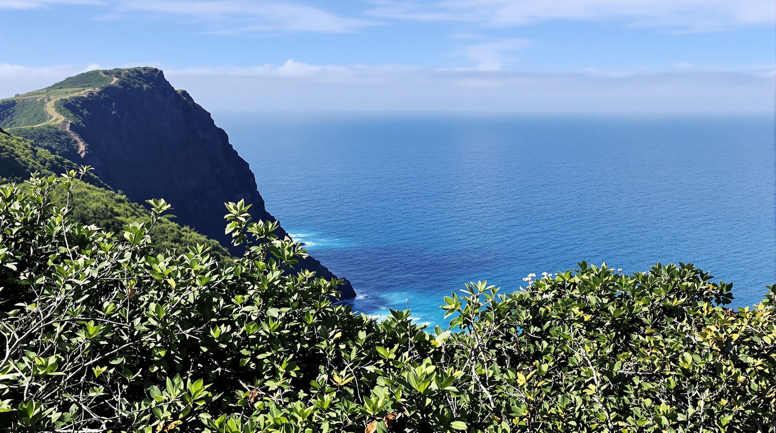 sentier_falaise_ocean