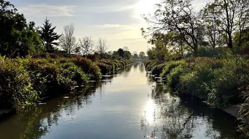 canal_au_matin_bon_encontre