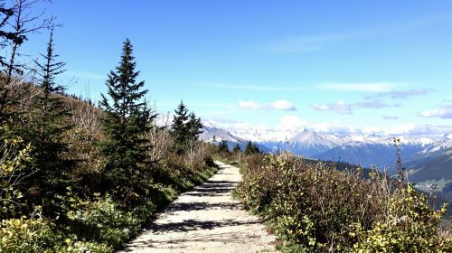 chemin_montagne_alpine