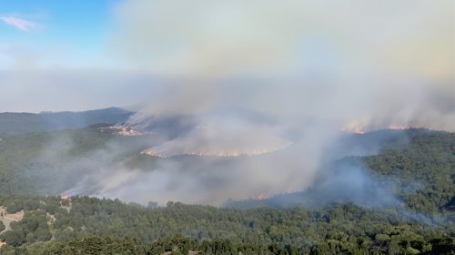 incendie-foret-vent-environnement