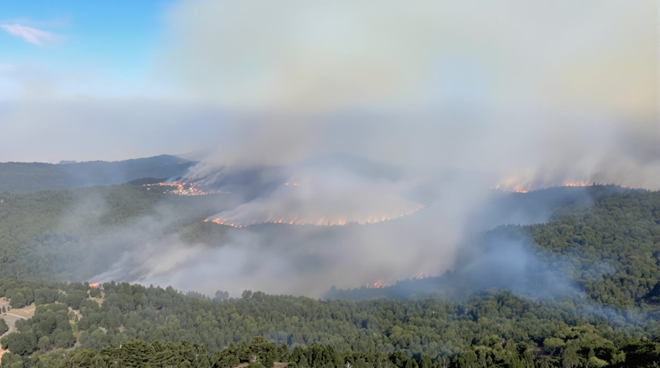 incendie-foret-vent-environnement