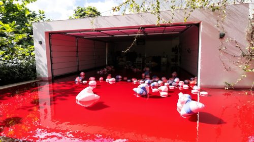 inondation_garage_feuilles