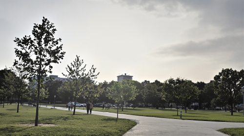 parc_dimanche_après-midi