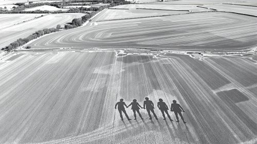 parcelle_agricole_intrusion