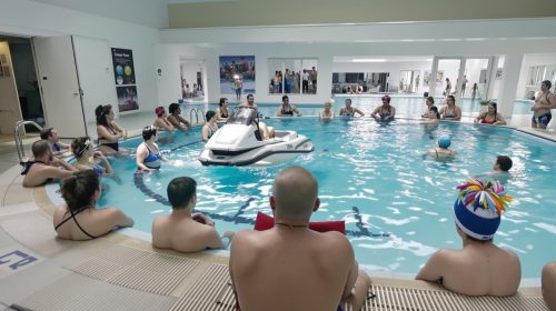 piscine_voiture_accident