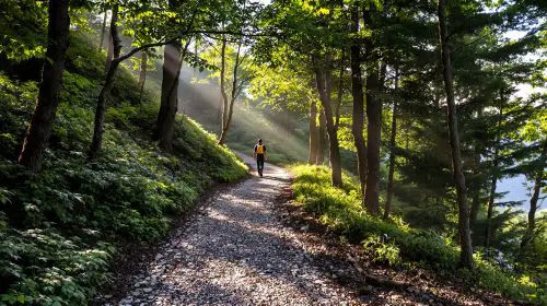 randonneur_sentinelle_nature