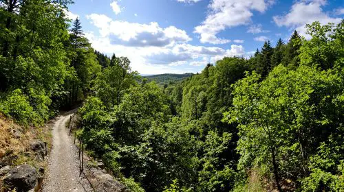 Ravin_boise_route