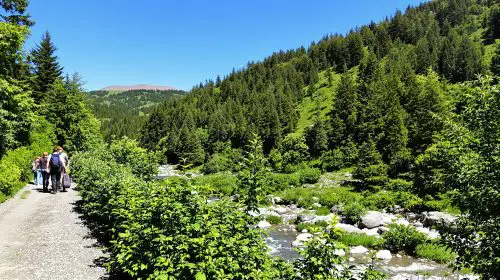 RavinVerdoyantArdèche2026
