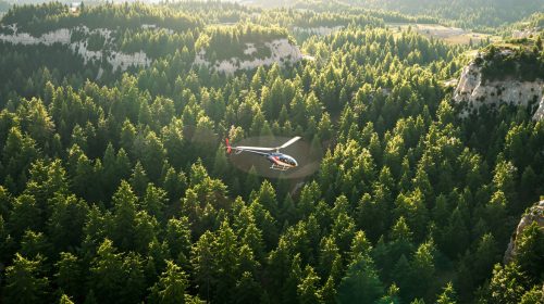 Recherche hélicoptère en forêt