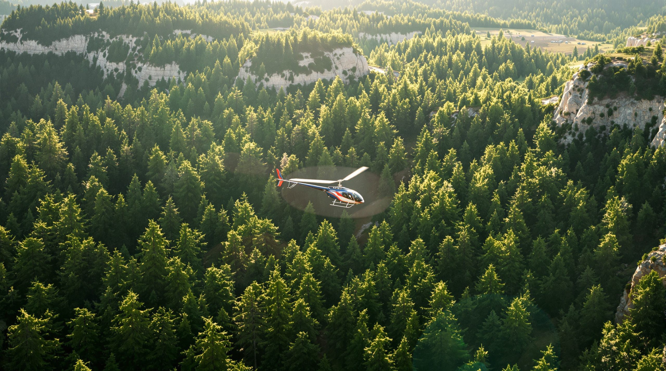 Recherche hélicoptère en forêt
