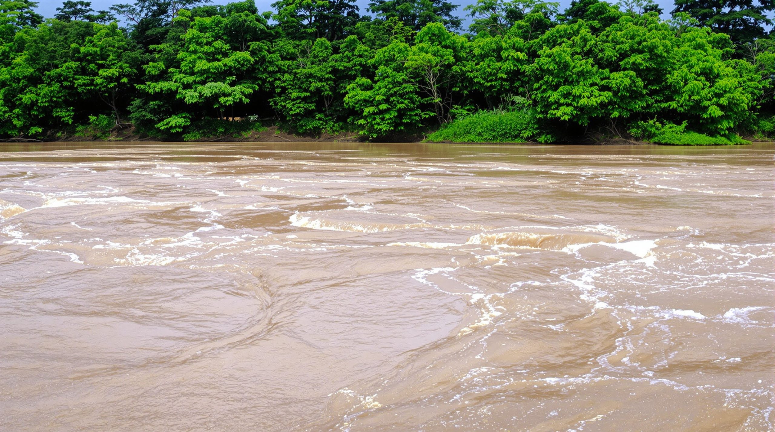 Riviere_Vietnam_Courants