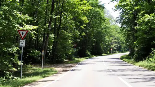route_departemantale_soleil