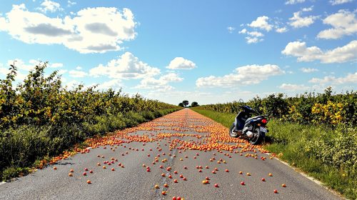 route-fruits-moto