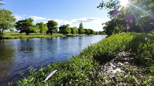 scene_peche_riviere_bretagne