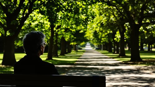 silhouette-elderly-park