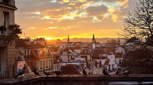 toits_parisiens_matin_clair