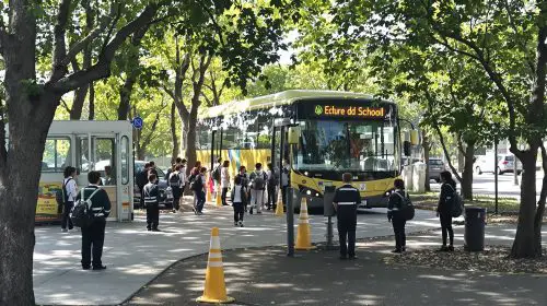arret_bus_campagnard