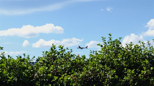 avion_vole_silhouette