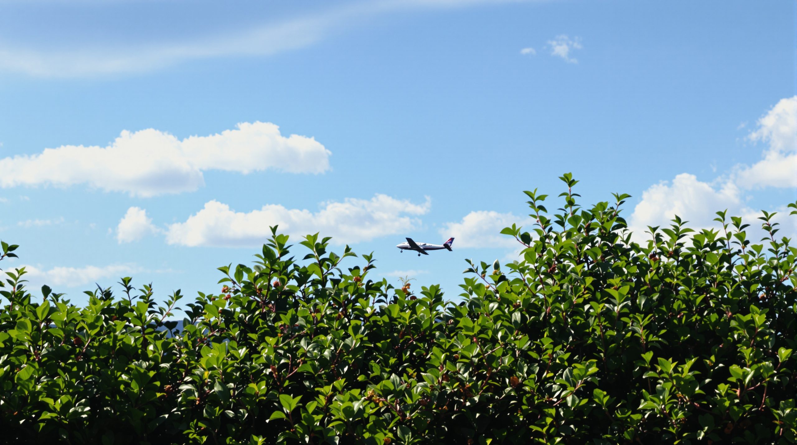 avion_vole_silhouette