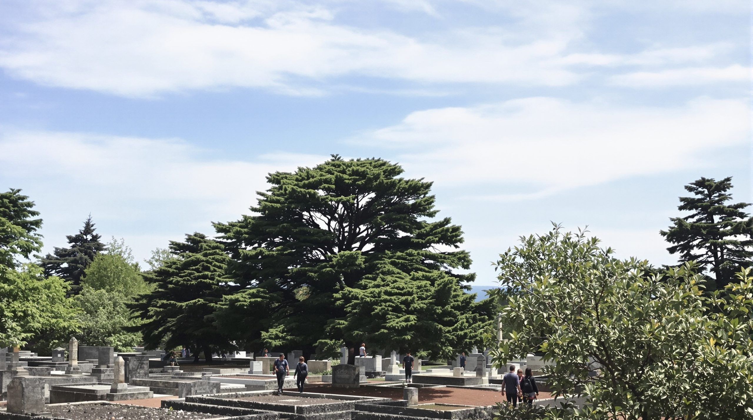 cimetière_cérmonie_intime