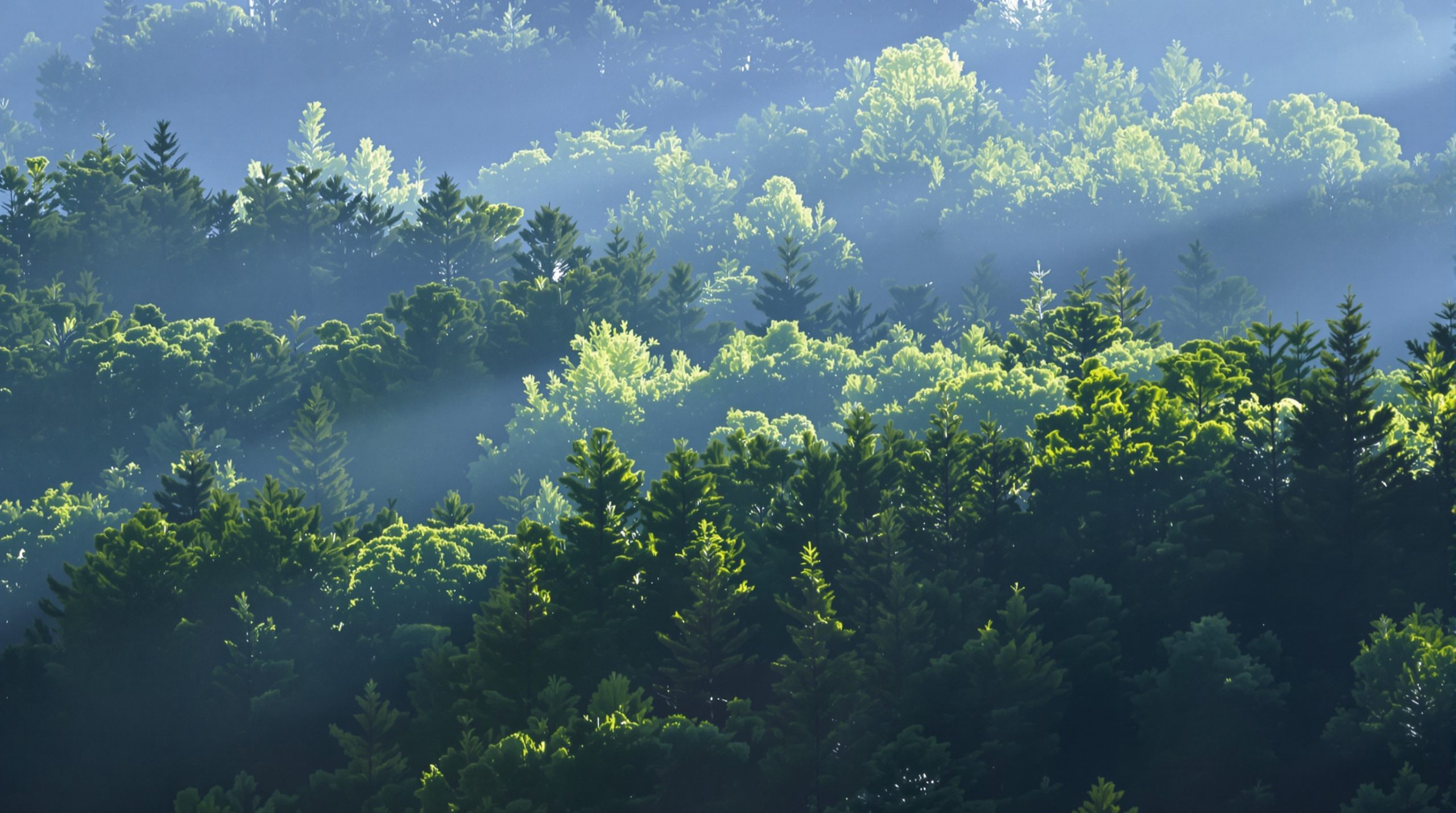 foret_limite_naturelle
