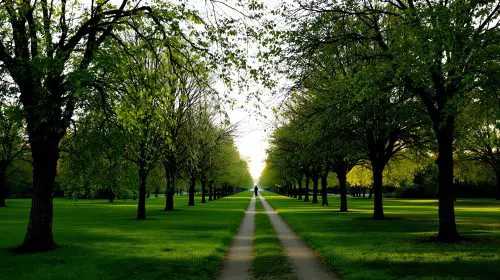parc_silhouette_joggeuse