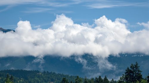 A400M_forêt_montagne