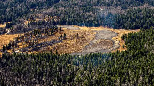 canadairs-foret-feu