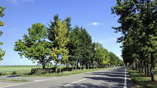 carrefour_route_campagne
