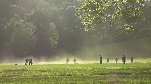 découverte-degree-fields