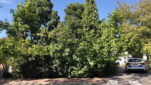 Enquête_Orange_Vaucluse