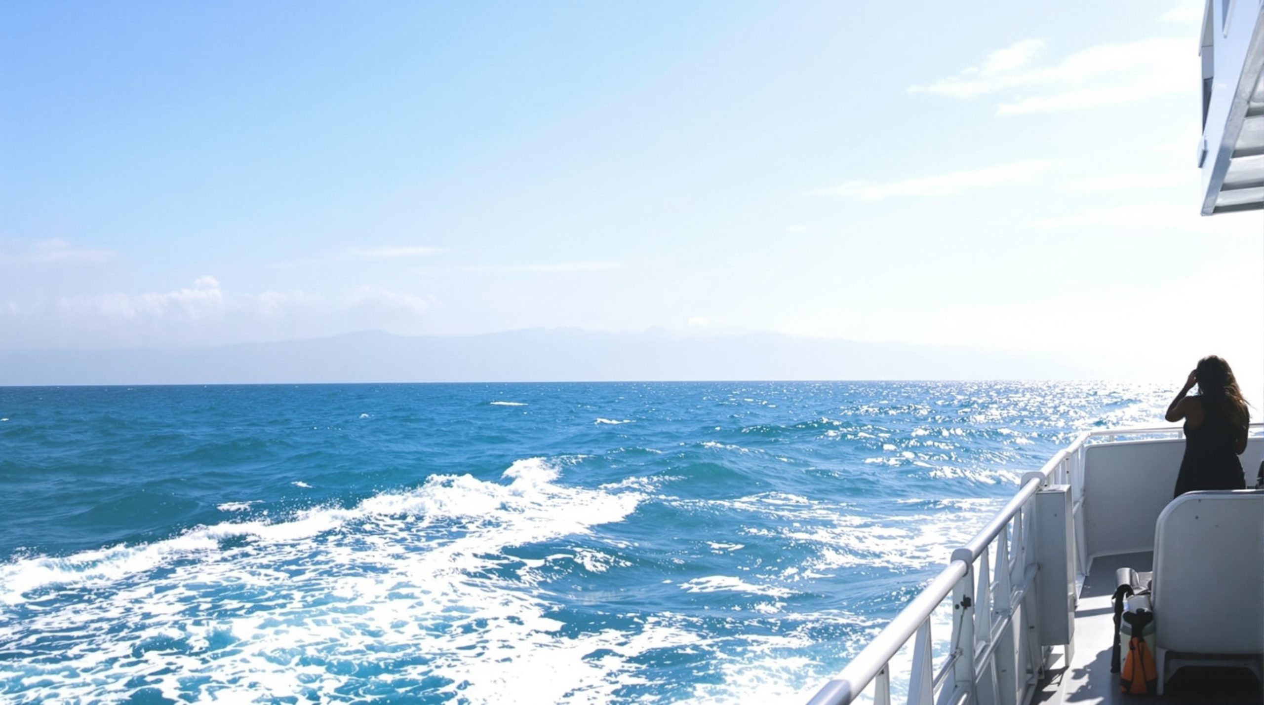 ferry_tropicale_rive