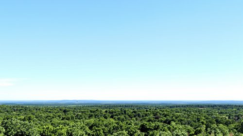 foret_ete_france2025