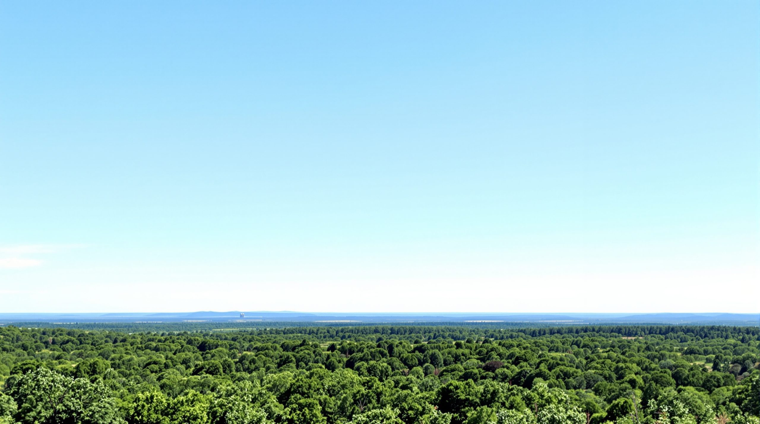 foret_ete_france2025