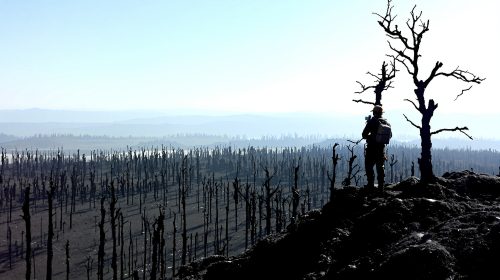 forêt_incendie_pompier